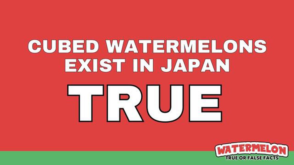 Watermelon True or False Facts image number null